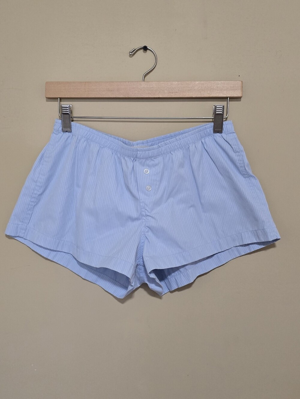 Brandy Melville Light Blue Pinstripe Lounge Shorts